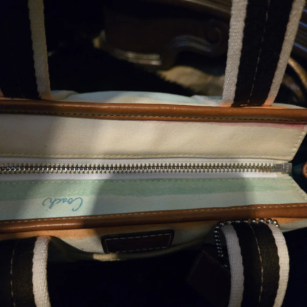Coach Hampton Sm Tote Multi Color Stripe #10025